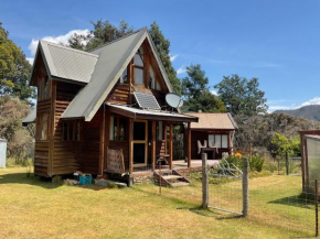 Secret Forest Cabin, Jackeys Marsh